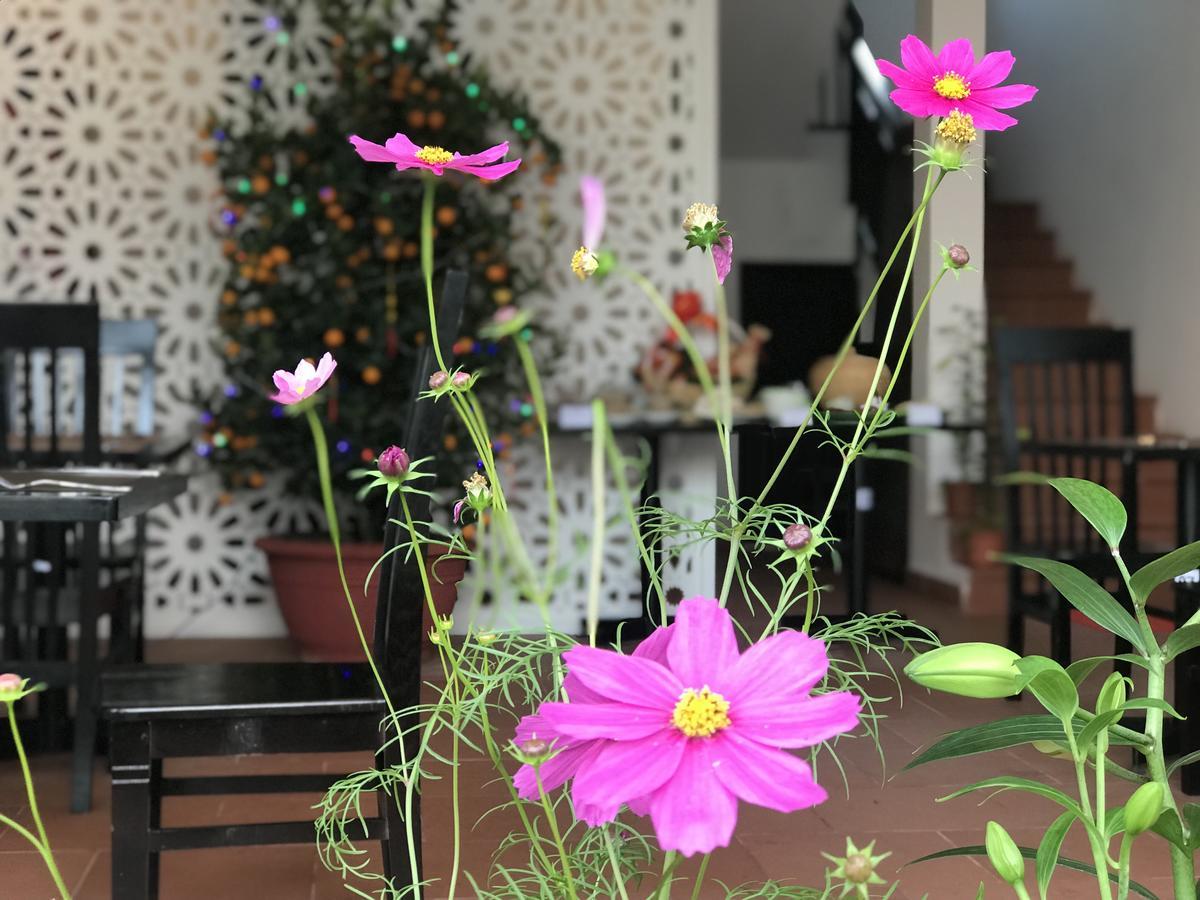 Vinci Villa Hội An Kültér fotó